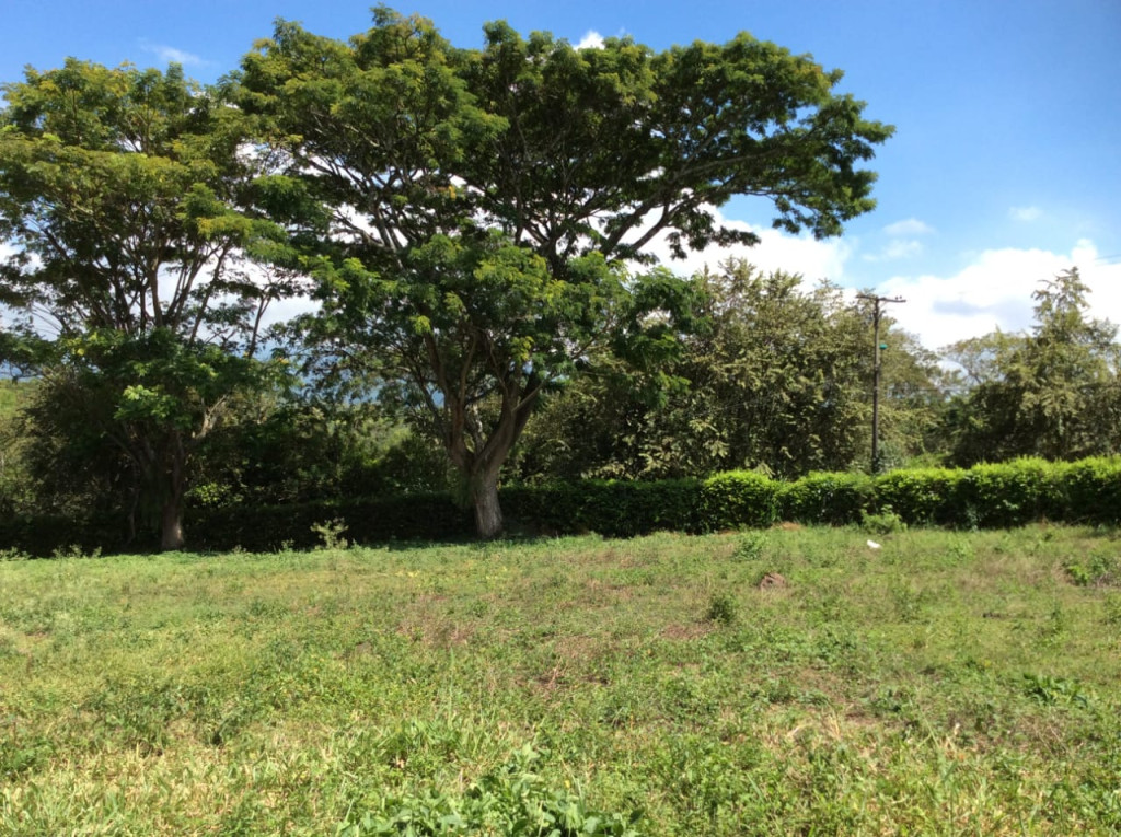 Lote En Venta - Pance, Cali