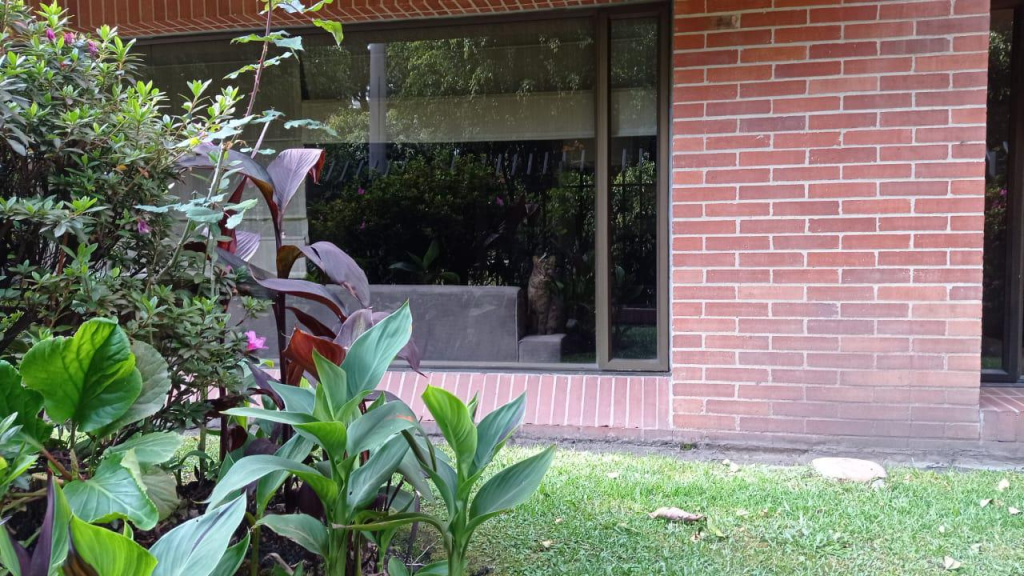 APARTAMENTO en Bogotá 8