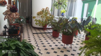 Foto 23