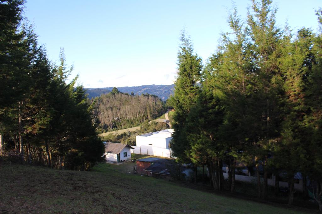 Imagen 21 de propiedad 193917