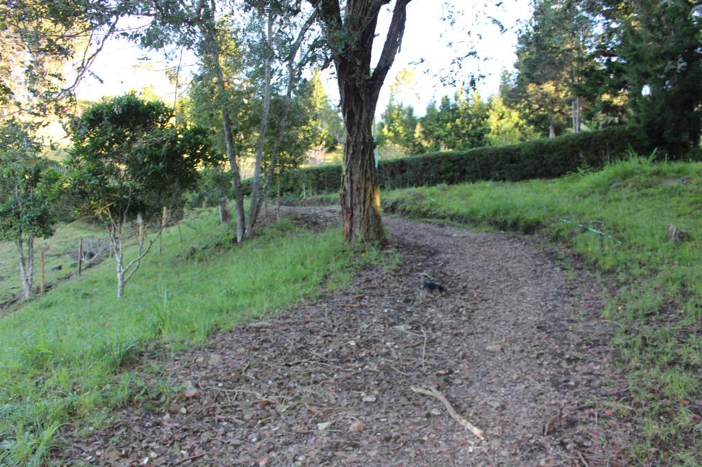 Imagen 17 de propiedad 193899