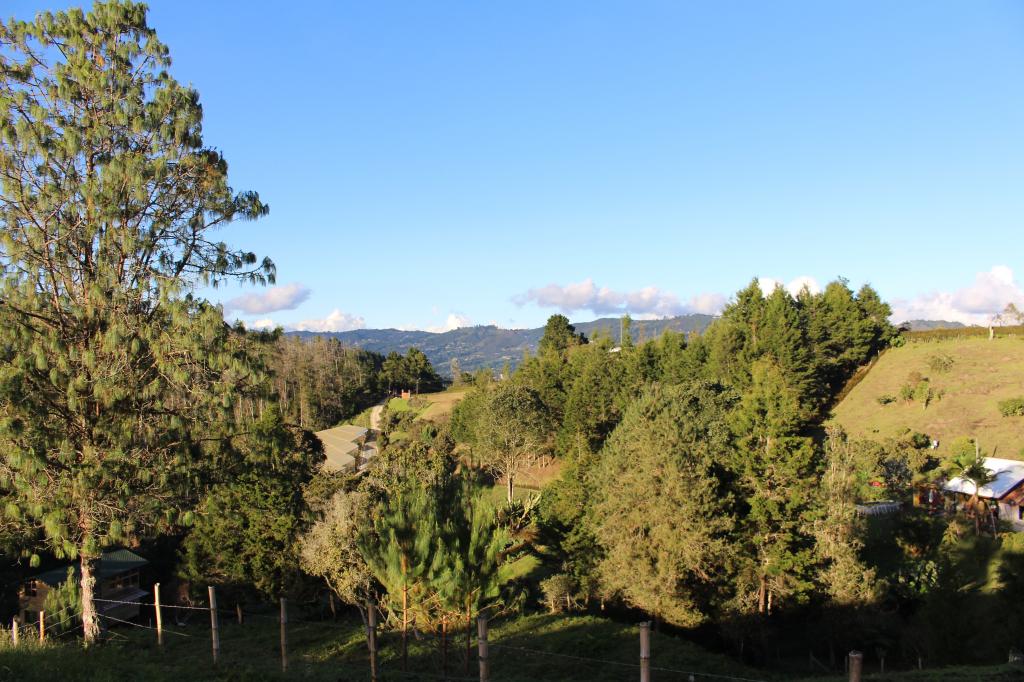 Imagen 4 de propiedad 193899