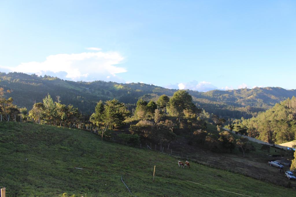 Imagen 16 de propiedad 193899