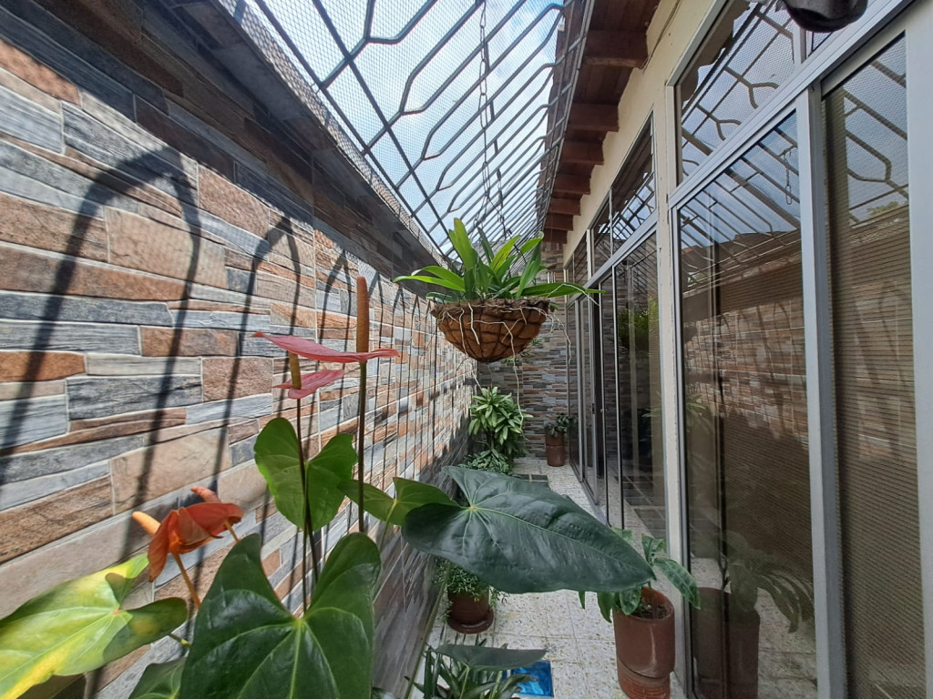 Imagen 6 de propiedad 221614