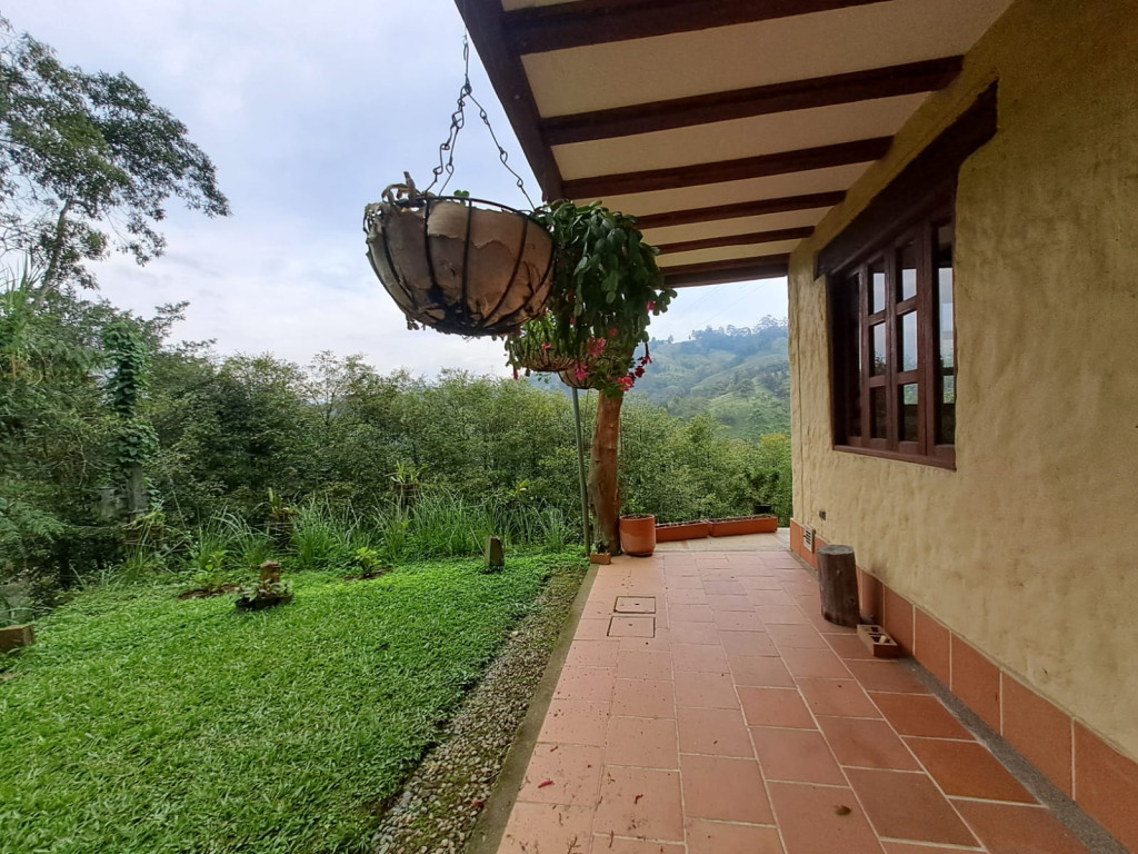 Imagen 10 de propiedad 221739