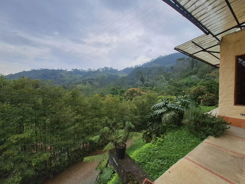 Imagen 11 de propiedad 221739