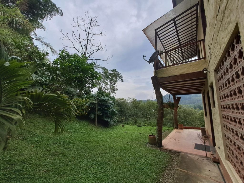 Imagen 13 de propiedad 221739