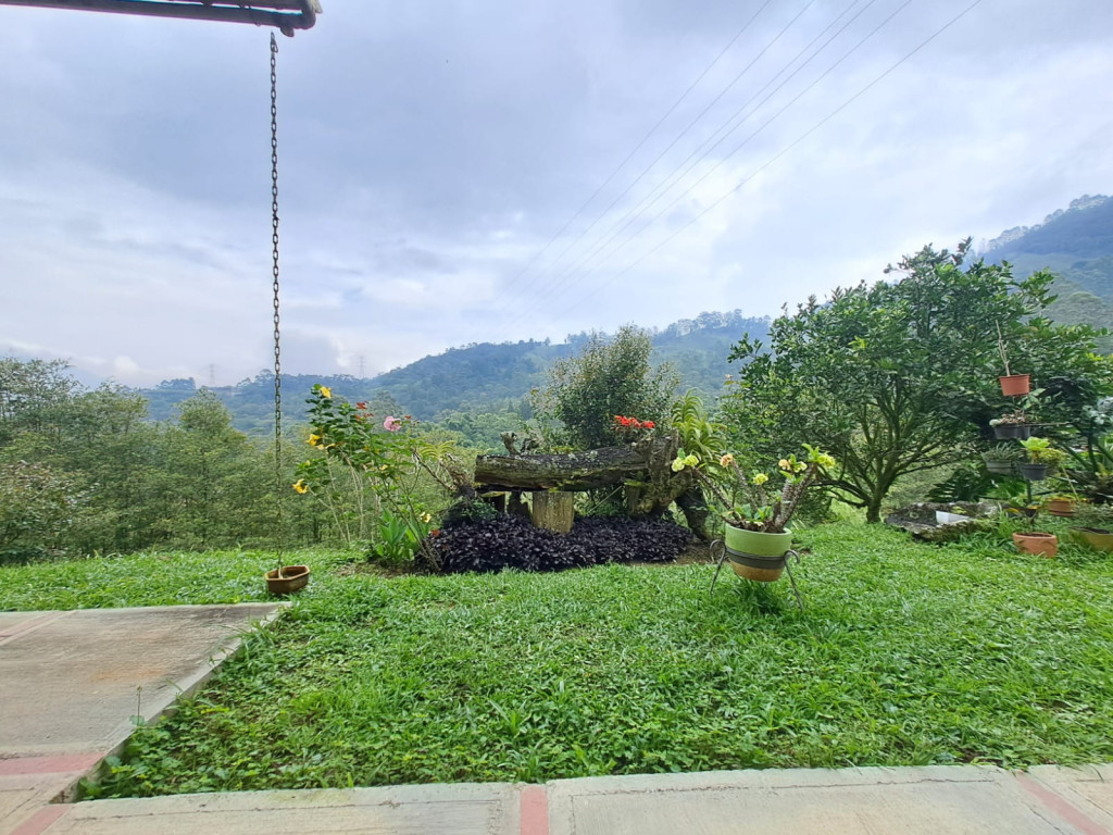 Imagen 14 de propiedad 221739