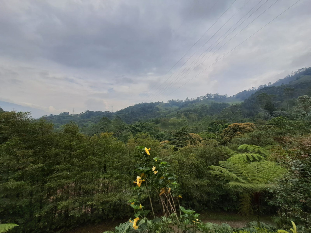 Imagen 15 de propiedad 221739