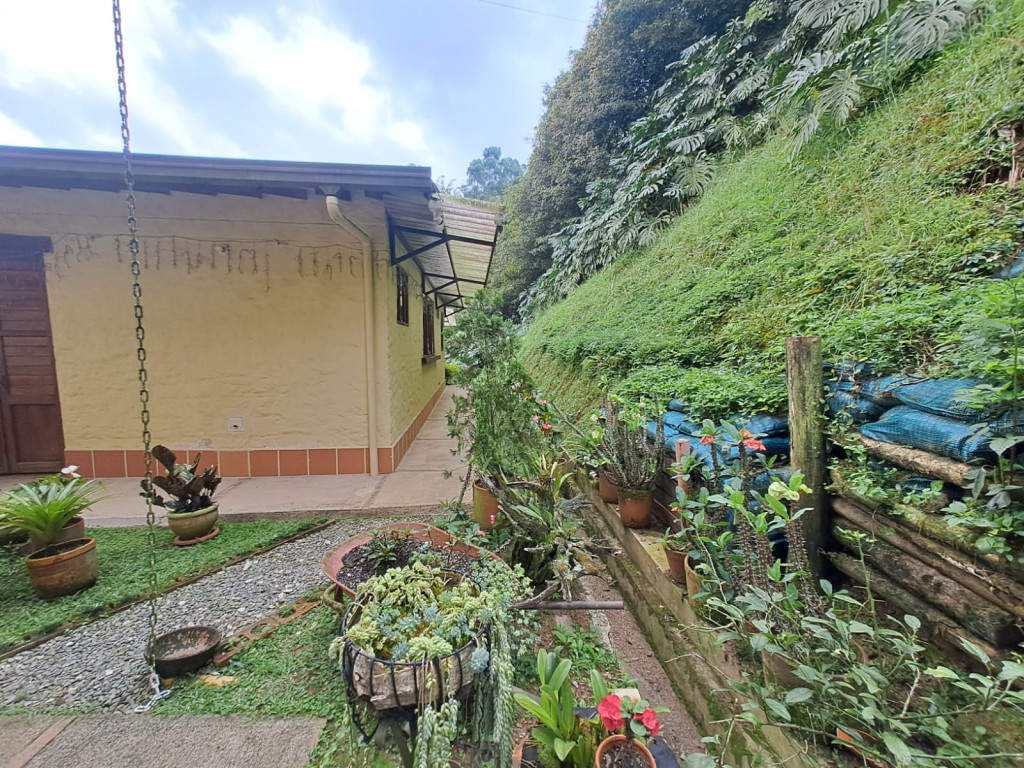 Imagen 16 de propiedad 221739