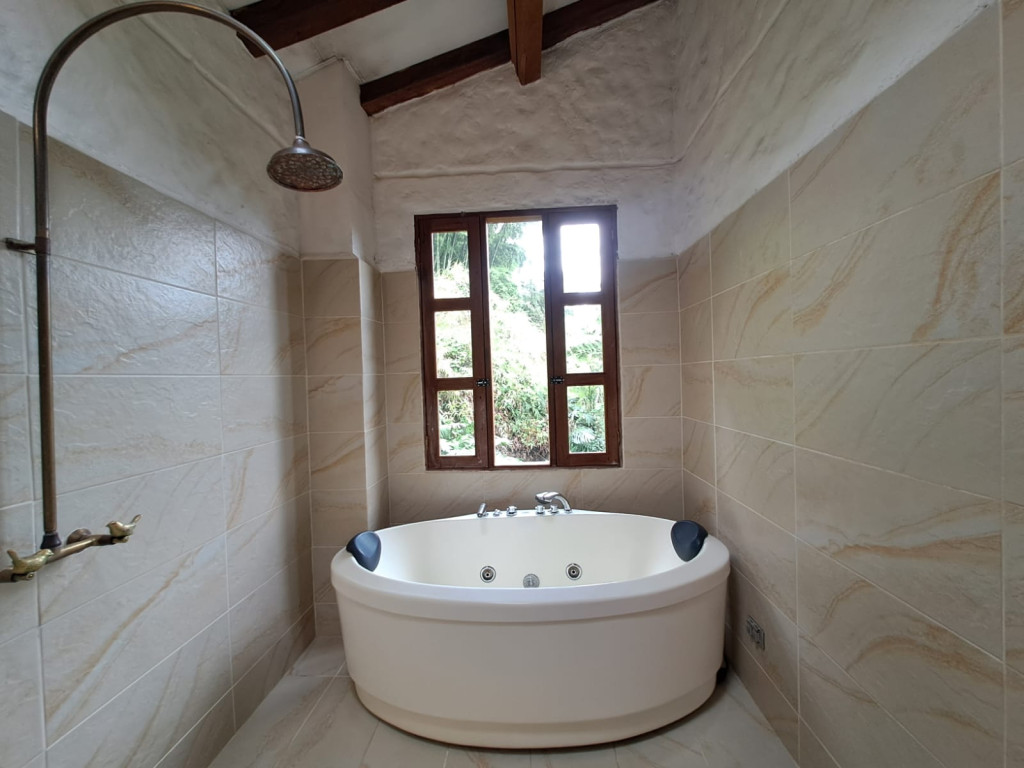 Imagen 26 de propiedad 221739