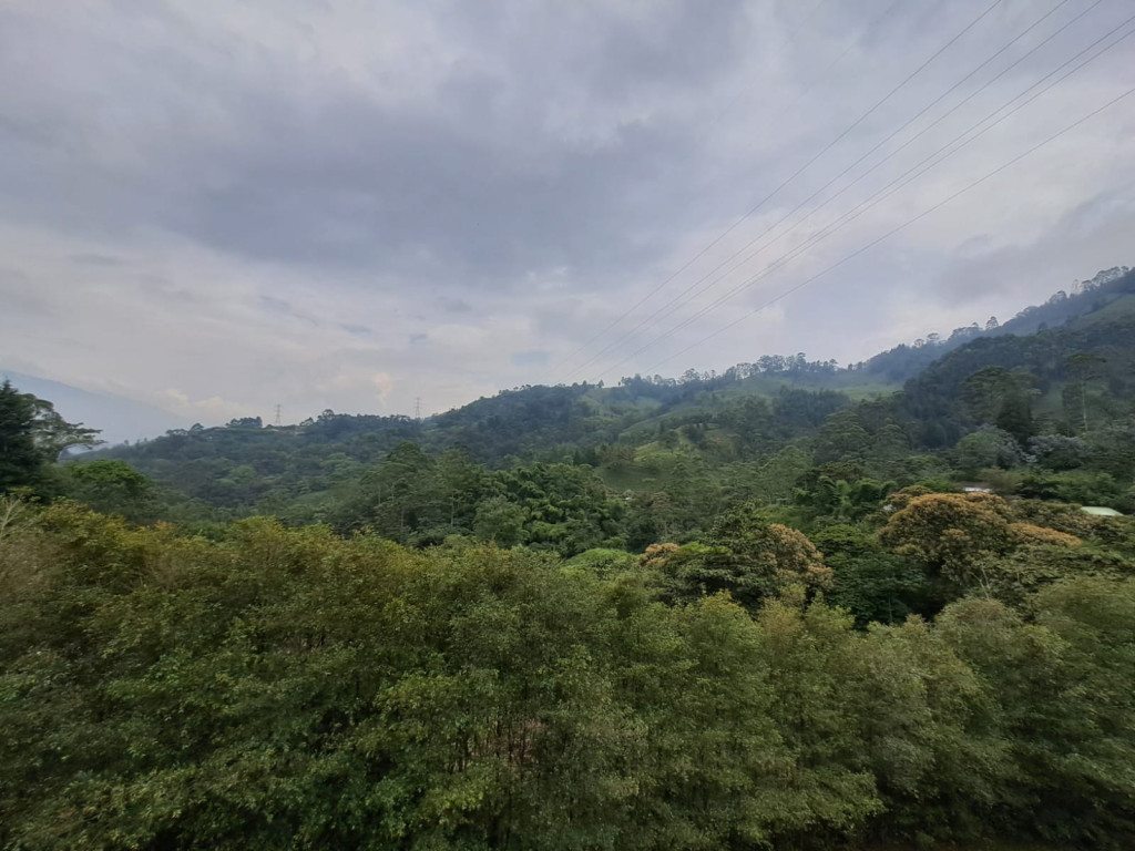 Imagen 29 de propiedad 221739