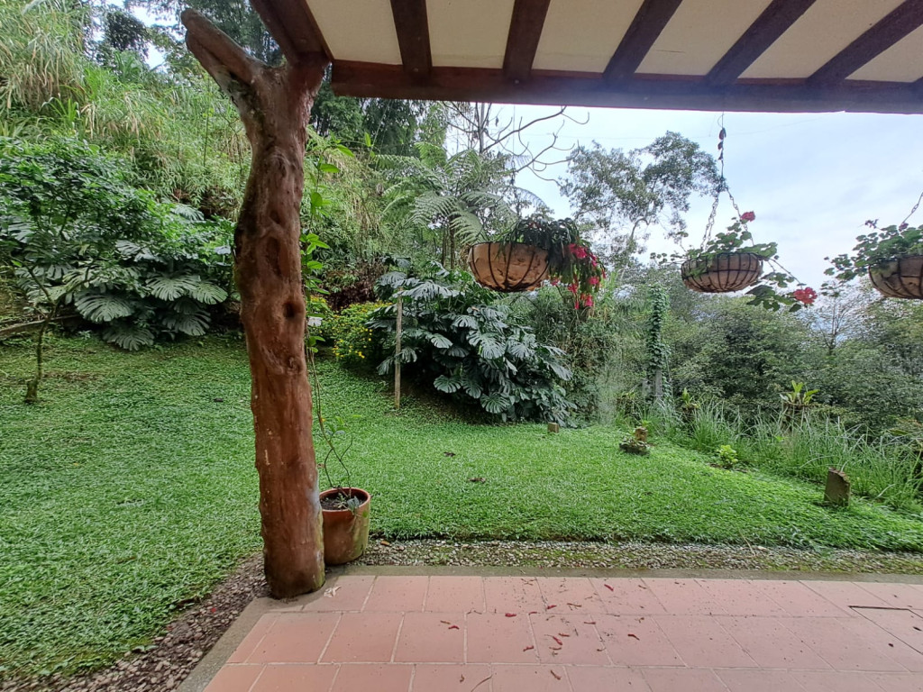 Imagen 9 de propiedad 221739