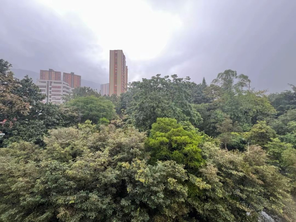 Imagen 6 de propiedad 920716