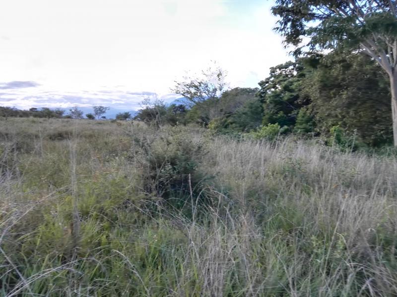 Lote En Venta - Via Bogota-Cerca A Los Olivos, Ibagué