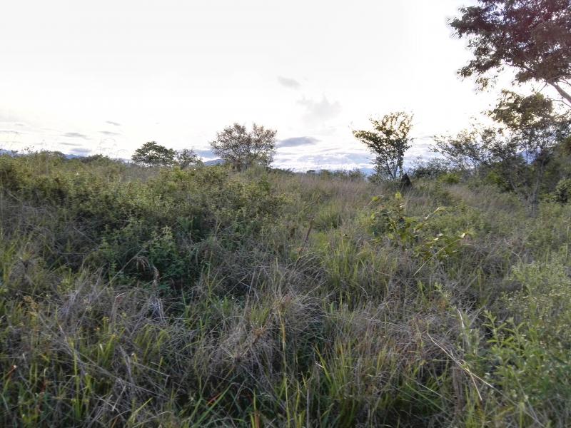 Lote En Venta - Via Bogota-Cerca A Los Olivos, Ibagué