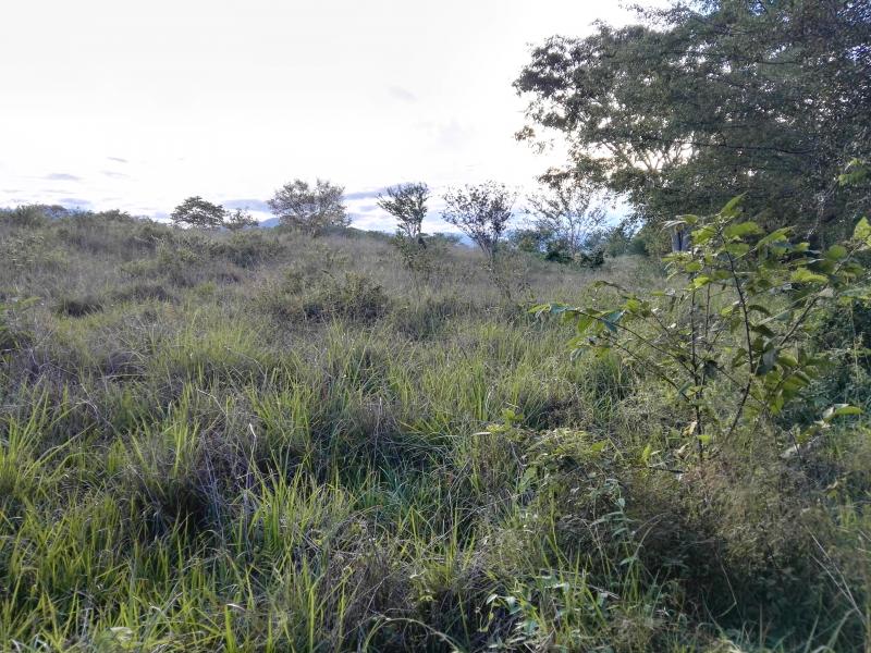 Lote En Venta - Via Bogota-Cerca A Los Olivos, Ibagué