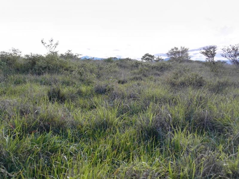 Lote En Venta - Via Bogota-Cerca A Los Olivos, Ibagué