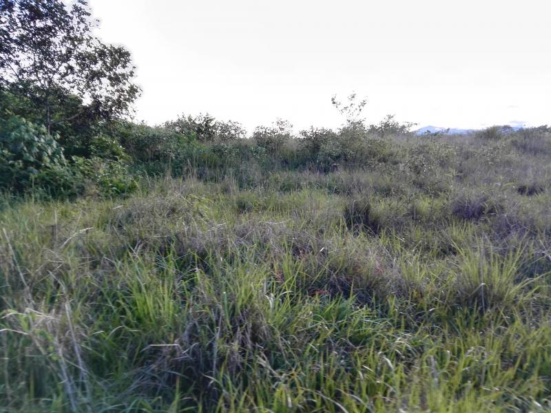 Lote En Venta - Via Bogota-Cerca A Los Olivos, Ibagué