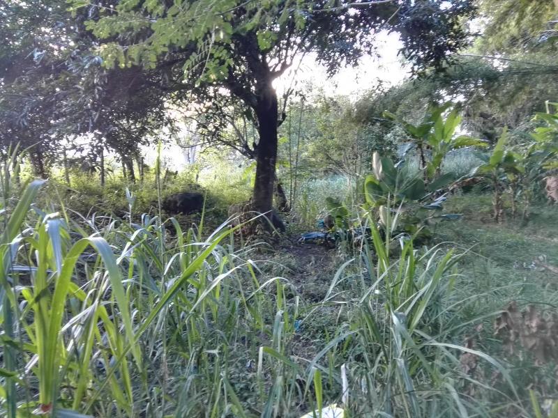 Lote En Venta - Via Bogota-Cerca A Los Olivos, Ibagué