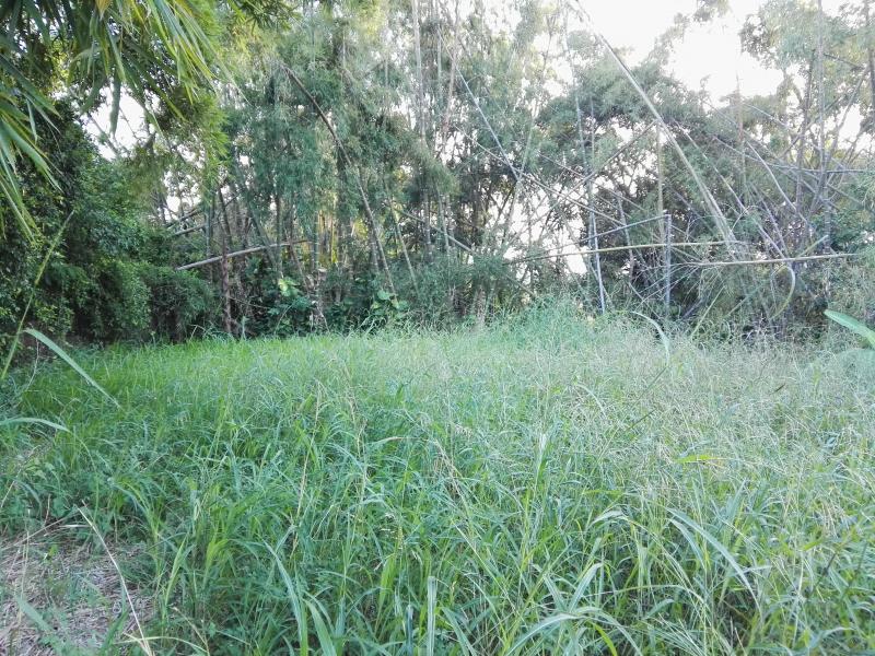 Lote En Venta - Via Bogota-Cerca A Los Olivos, Ibagué