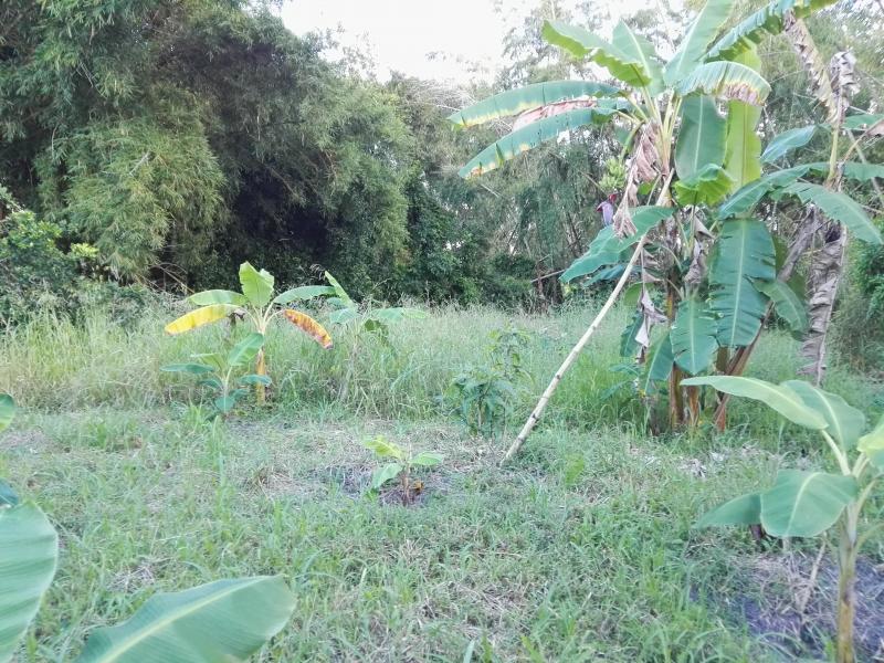 Lote En Venta - Via Bogota-Cerca A Los Olivos, Ibagué