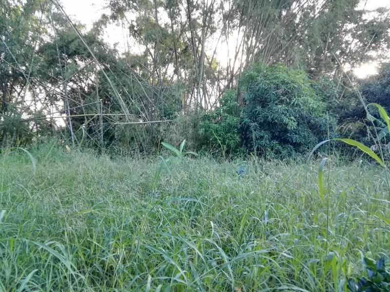 Lote En Venta - Via Bogota-Cerca A Los Olivos, Ibagué