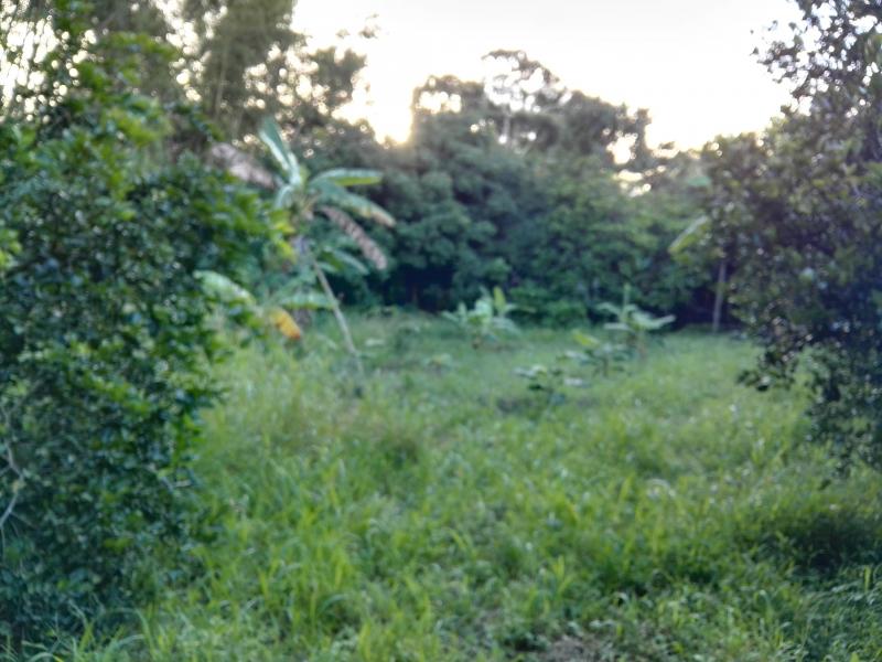 Lote En Venta - Via Bogota-Cerca A Los Olivos, Ibagué