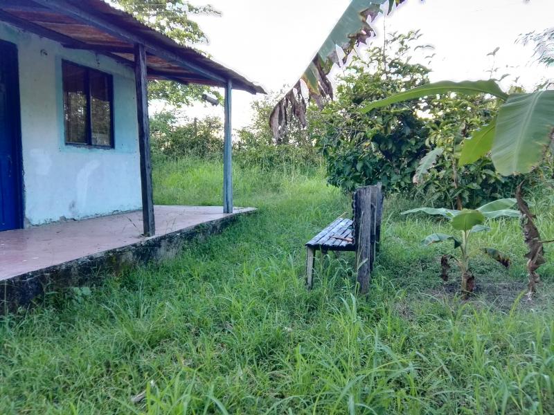 Lote En Venta - Via Bogota-Cerca A Los Olivos, Ibagué