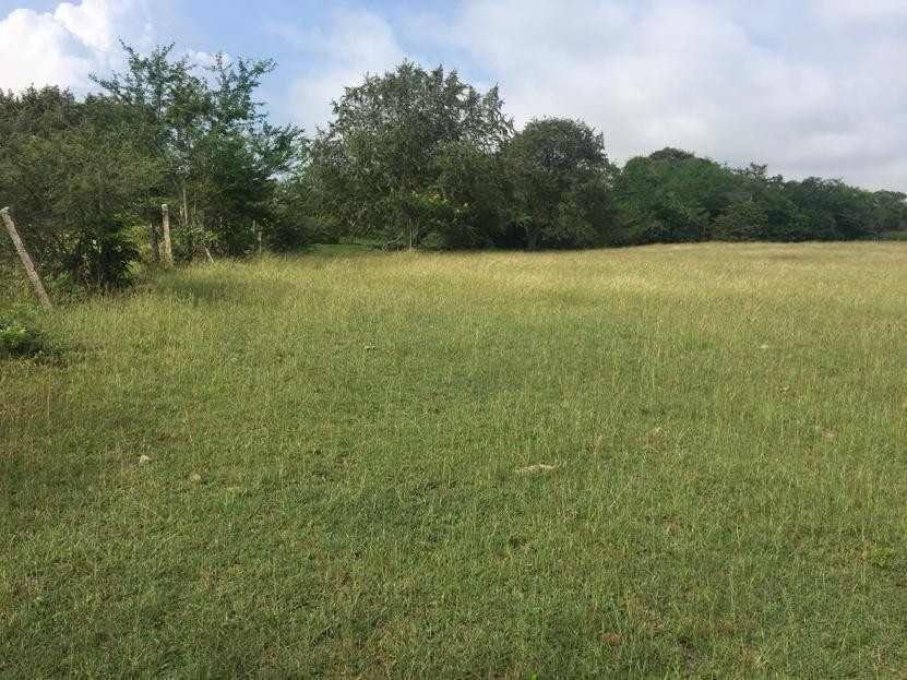 Lote En Venta - Via Bogota-Cerca A Los Olivos, Ibagué