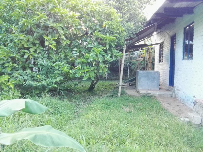 Lote En Venta - Via Bogota-Cerca A Los Olivos, Ibagué