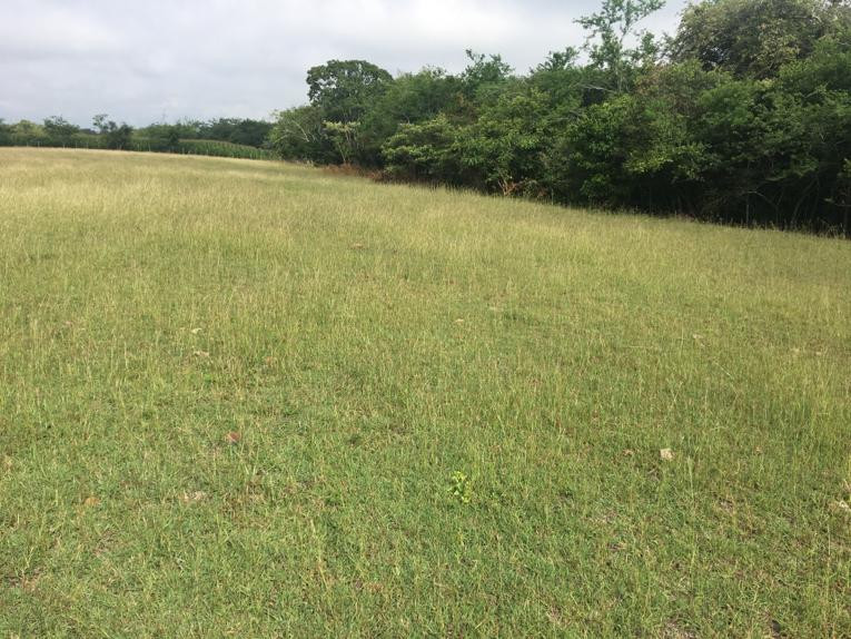 Lote En Venta - Via Bogota-Cerca A Los Olivos, Ibagué