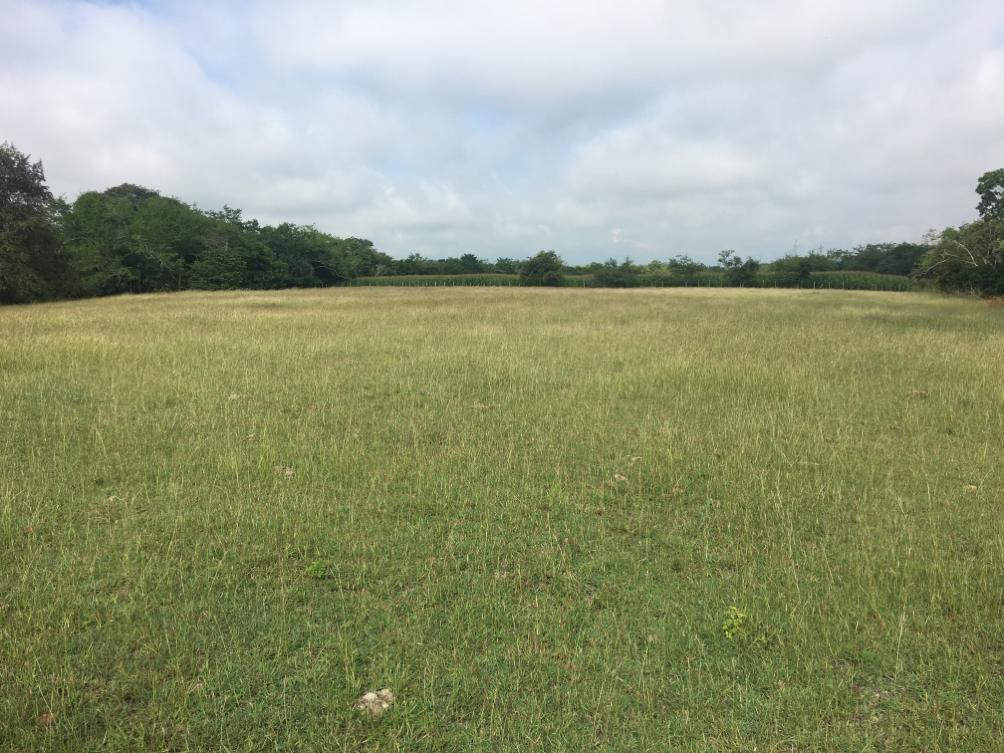 Lote En Venta - Via Bogota-Cerca A Los Olivos, Ibagué
