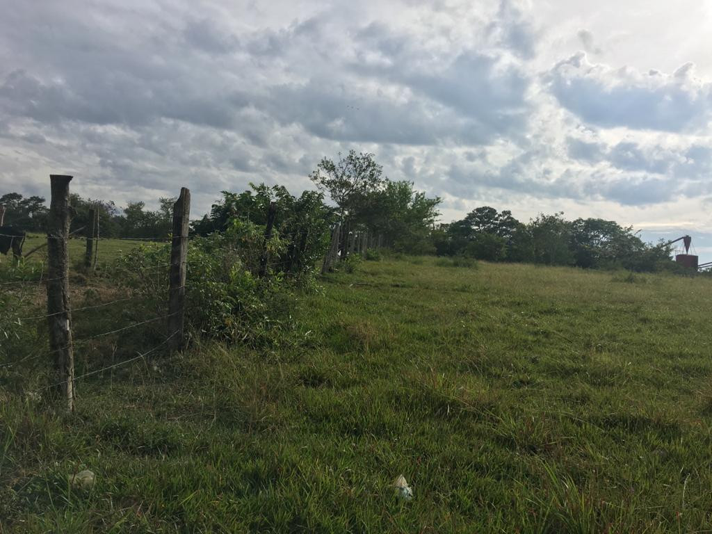 Lote En Venta - Via Bogota-Cerca A Los Olivos, Ibagué