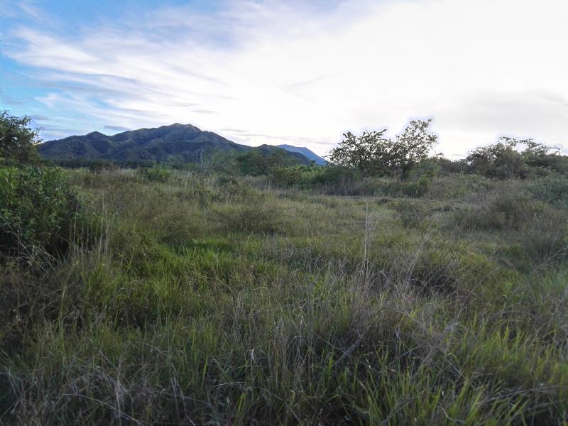 Lote En Venta - Via Bogota-Cerca A Los Olivos, Ibagué