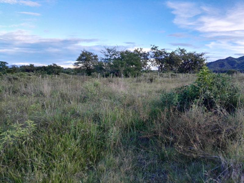 Lote En Venta - Via Bogota-Cerca A Los Olivos, Ibagué