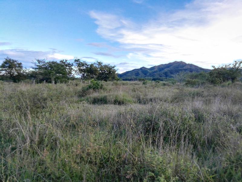 Lote En Venta - Via Bogota-Cerca A Los Olivos, Ibagué