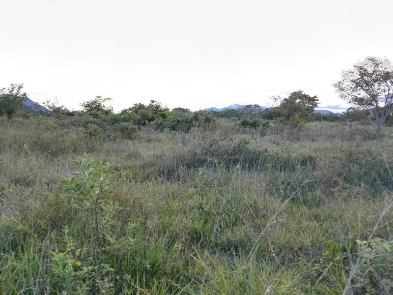 Lote En Venta - Via Bogota-Cerca A Los Olivos, Ibagué