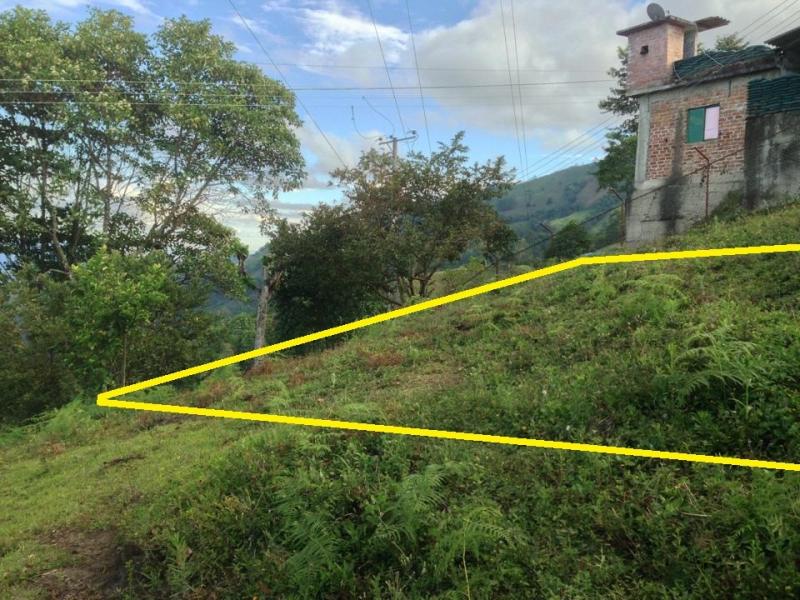 Lote En Arriendo - La Martinica, Ibagué