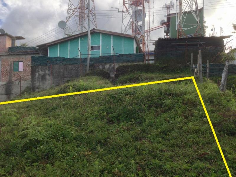 Lote En Arriendo - La Martinica, Ibagué