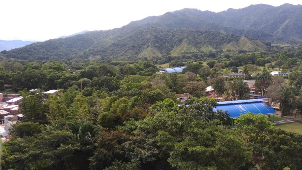 Apartamento En Venta - C.r Ibanasca Piso 12, Ibagué