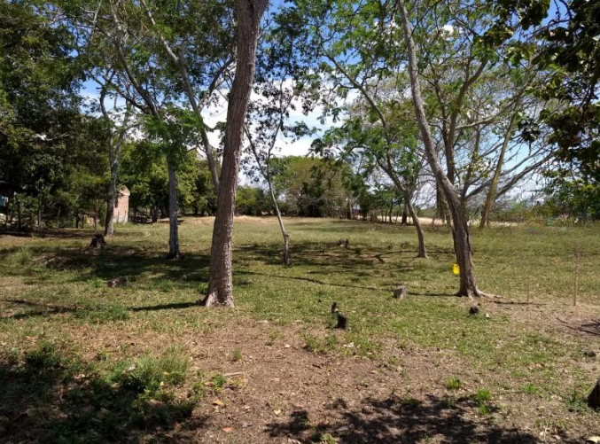 Lote En Venta - Piedra Grande Paraje Chucuni, Ibagué