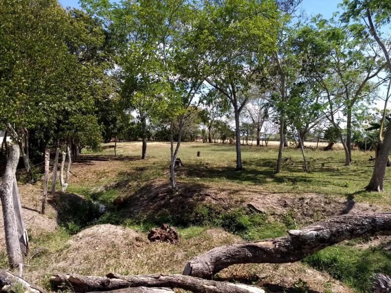 Lote En Venta - Piedra Grande Paraje Chucuni, Ibagué