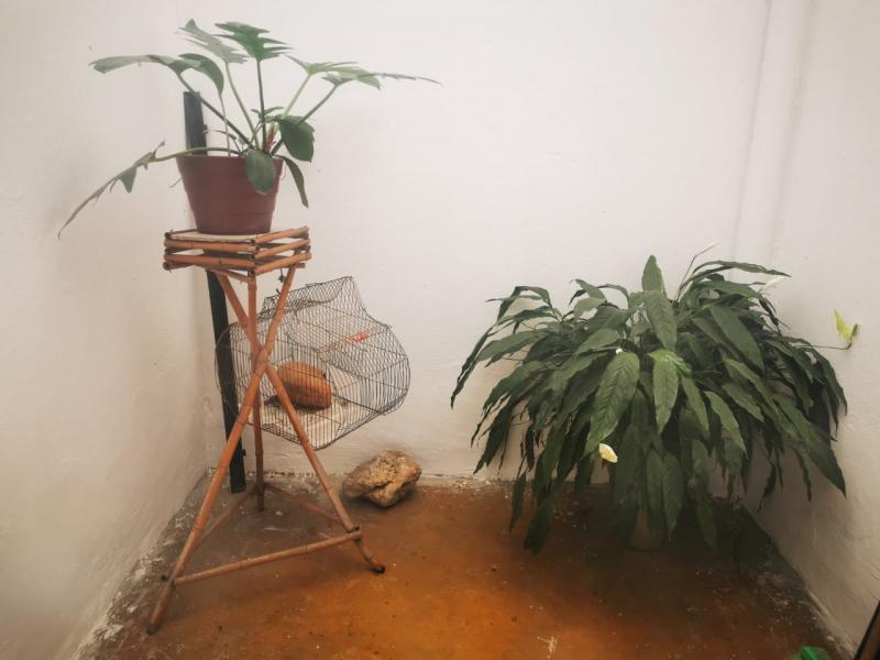 Casa En Venta - Naciones Unidas, Ibagué