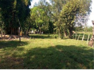 Lote En Venta - Lote-Ospina Perez Dos, Purificación