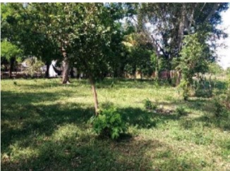 Lote En Venta - Lote-Ospina Perez Dos, Purificación