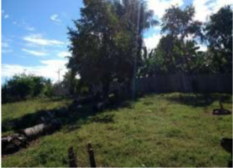 Lote En Venta - Lote-Ospina Perez Dos, Purificación