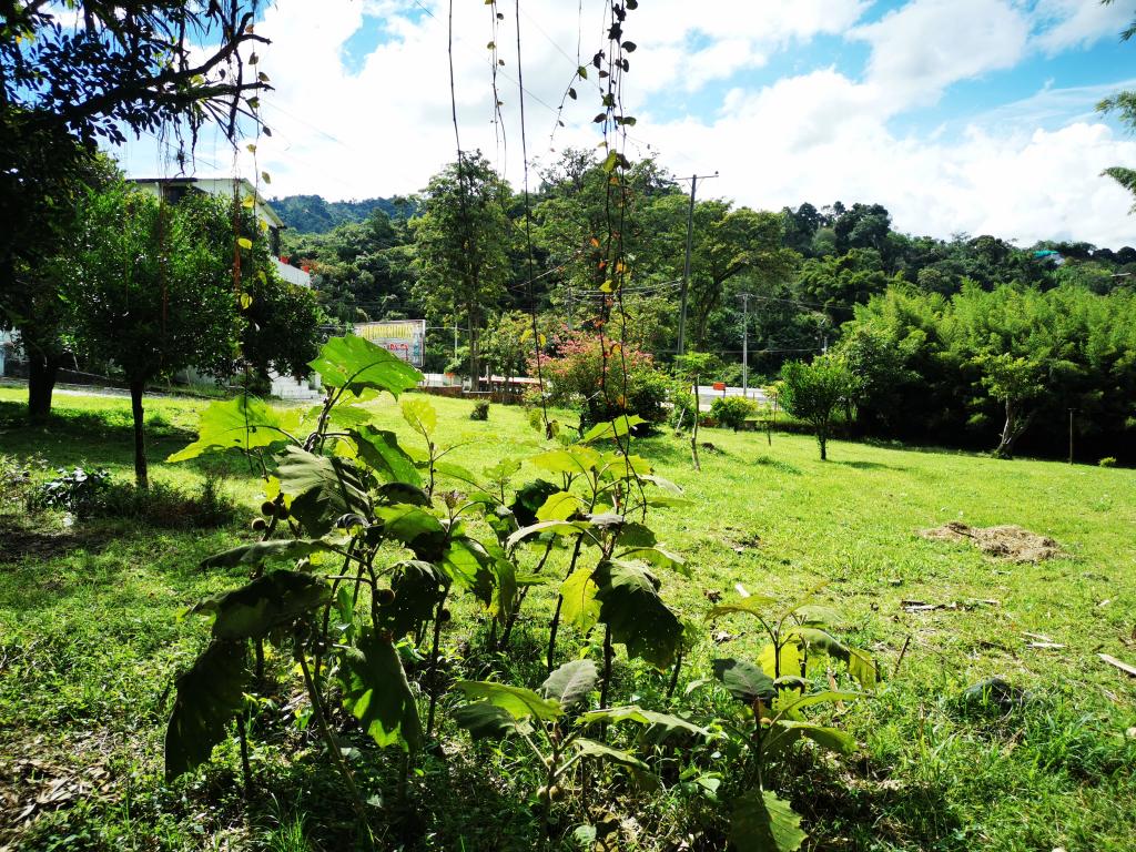 Finca En Venta - Boqueron, Ibagué