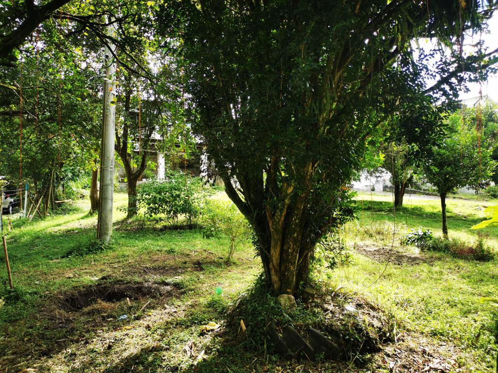 Finca En Venta - Boqueron, Ibagué