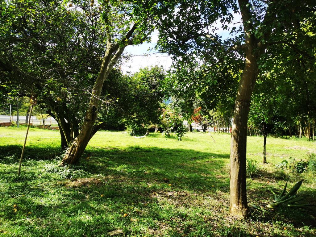 Finca En Venta - Boqueron, Ibagué